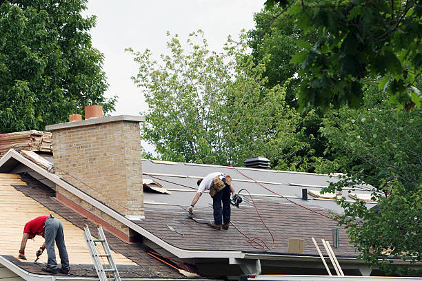 Best Local Roofing Companies  in Lake Fenton, MI