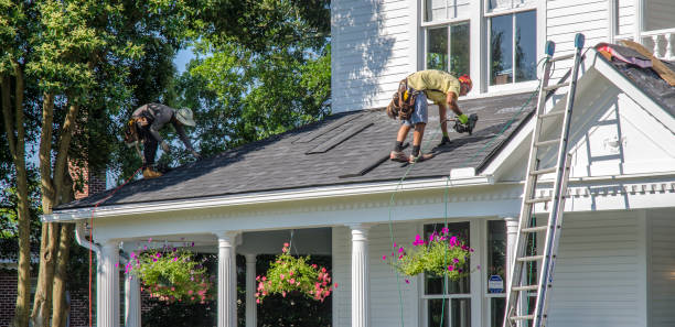 Best Roof Repair Services  in Lake Fenton, MI